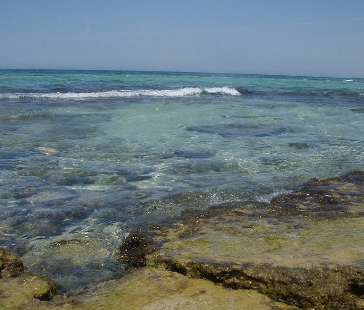 Lido Conchiglie - Sannicola