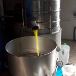 Olio d'oliva appena centrifugato
