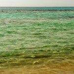 Lido Conchiglie - Photos accordées par Ange urbain